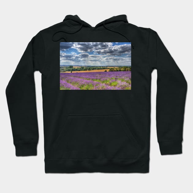 Lavender Farm Hoodie by Nigdaw